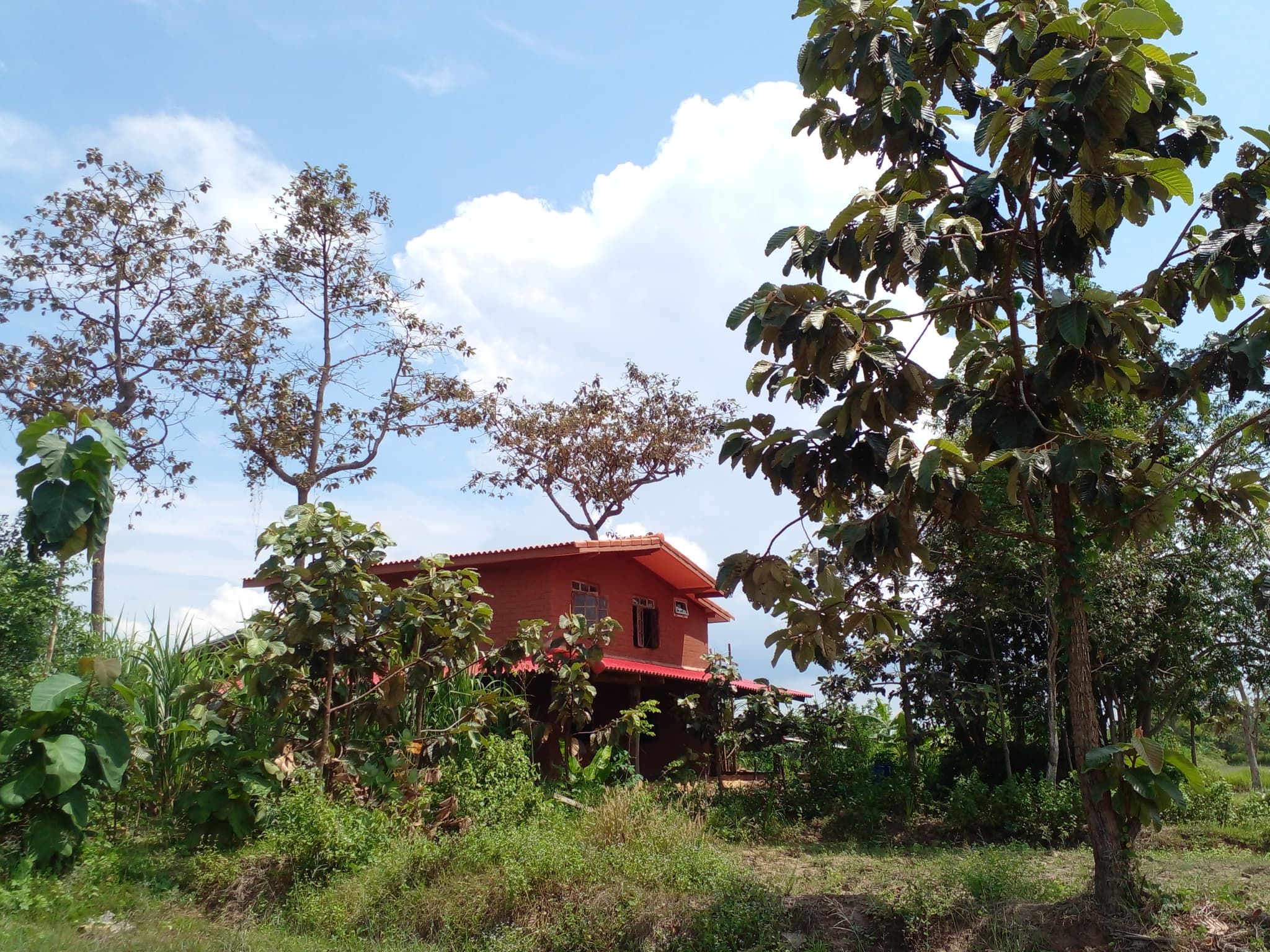 บ้านดินสองชั้นท่ามกลางต้นไม้ในสวนจรัญ